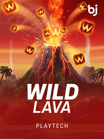 Wild Lava game cover